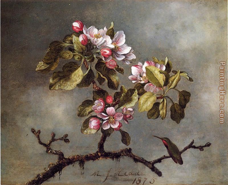 Apple Blossoms and Hummingbird painting - Martin Johnson Heade Apple Blossoms and Hummingbird art painting